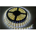 Fita LED SMD 2835 de cor única de 14,4 W / M 120 LEDs por medidor DC24V IP65 fita LED